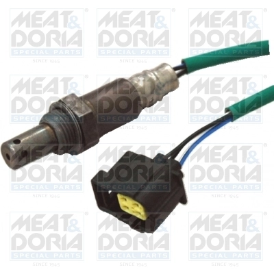 Oxygen Sensor
